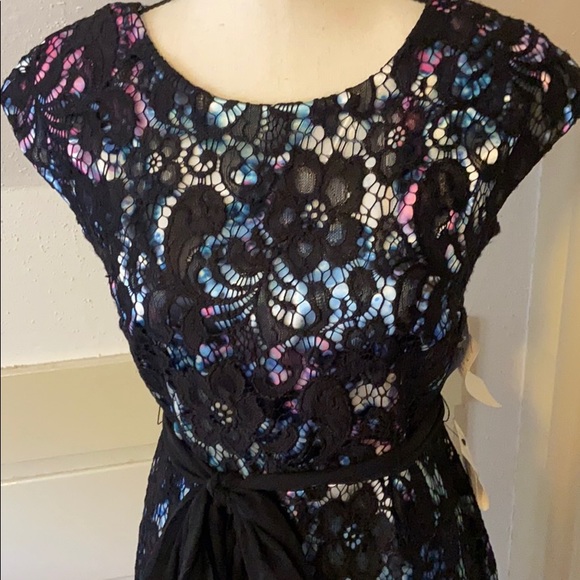 Gorgeous cocktail dress with lace overlay.  SZ 6P - Picture 4 of 8
